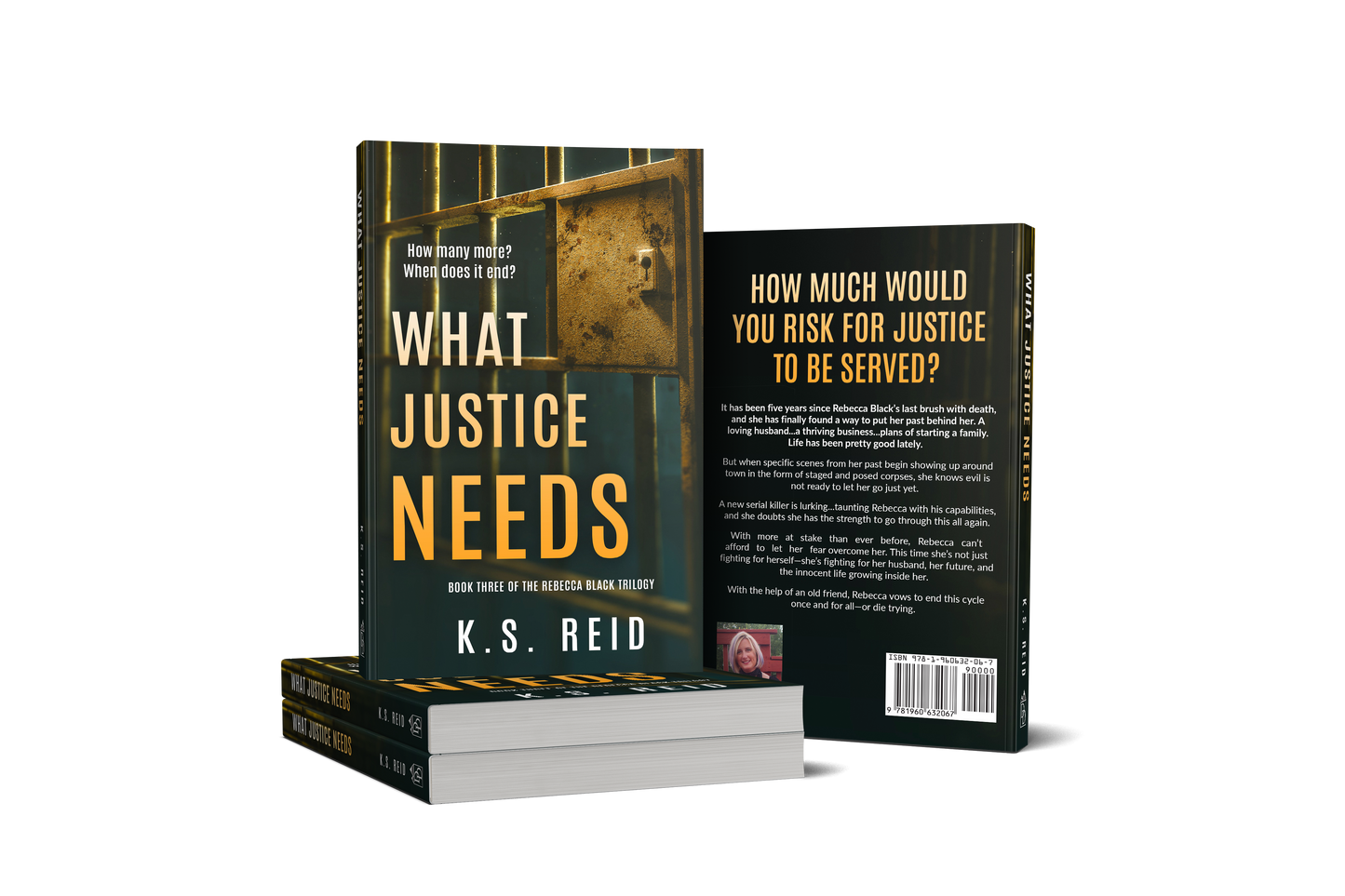 What Justice Needs | Paperback